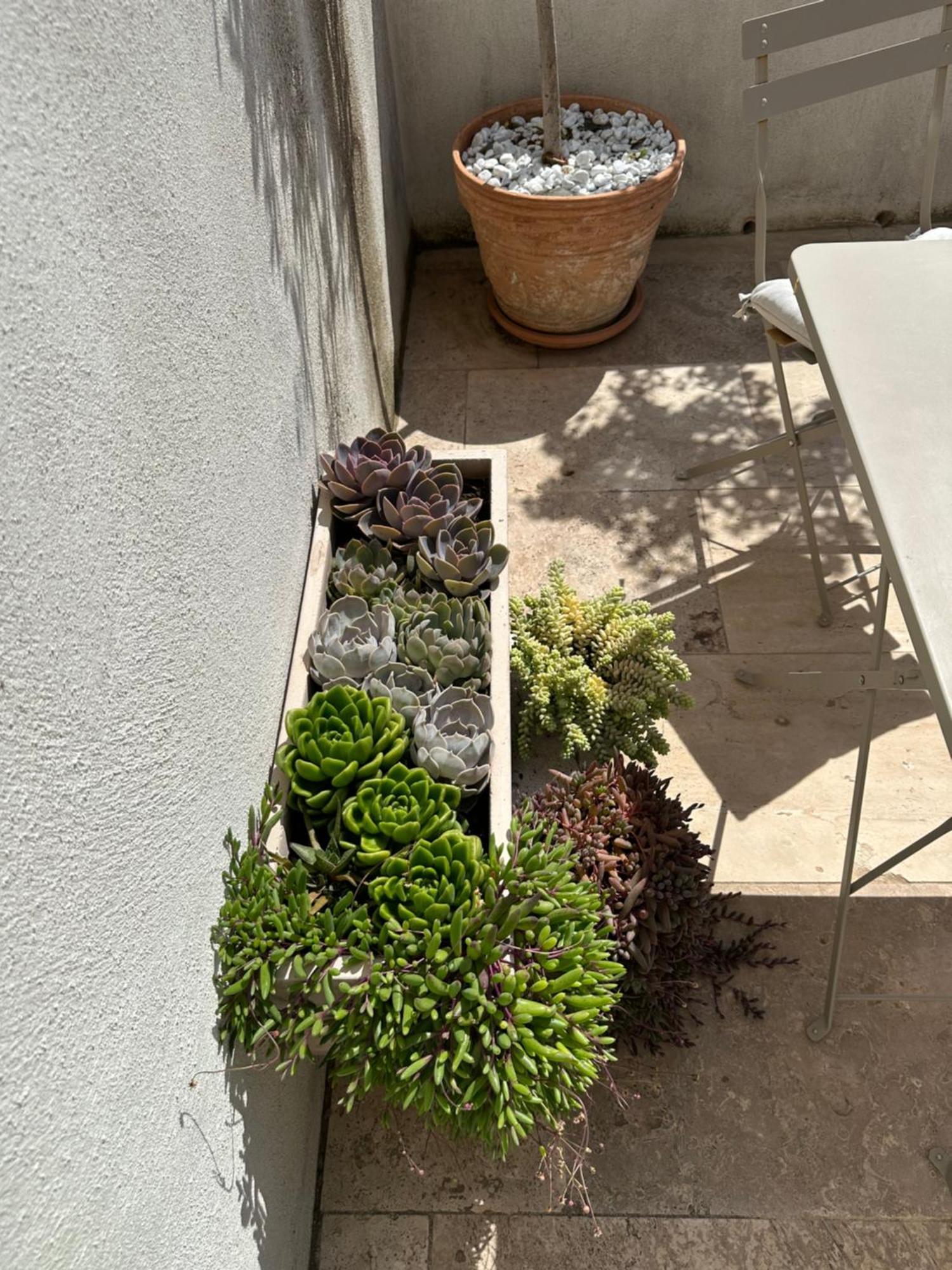 Appartements 3 Etoiles Terrasse Ou Patio Intra-Muros Aigues-Mortes Eksteriør billede